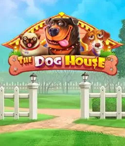 Pragmatic Play's The Dog House adventure, offering a fun-filled journey among charming canines. Engage in gameplay elements such as sticky wilds, aimed at delivering joyful moments. Ideal for animal enthusiasts a lighthearted theme and the opportunity to win big.